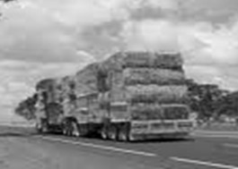 Bales, Bags and Sacks